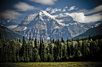 Nature, Trees, Grass, Sky, Mountains, Vertex, Tops HD wallpaper