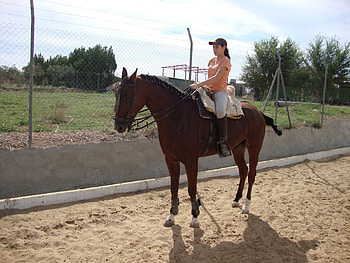 Training Day. ., style, cowgirl, fun, brunettes, fashion, horses, outdoors, ranch, girls, women, models, boots, western, hat, female HD wallpaper