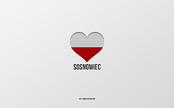 I Love Sosnowiec, Polish cities, Day of Sosnowiec, gray background, Sosnowiec, Poland, Polish flag heart, favorite cities, Love Sosnowiec HD wallpaper