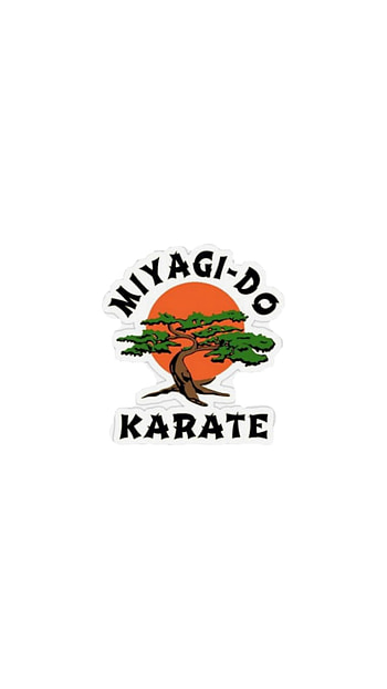 Miyagi-do karate, cobra kai, miyagi do, netflix and chill, netflix, sensei, clean HD phone wallpaper
