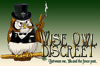 WISE OLD OWL, old, bird, wise, owl HD wallpaper