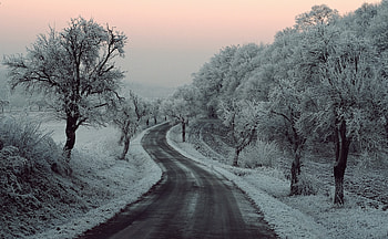 Winter Road Snow Frozen Trees On Sides , winter, snow, road, trees, nature HD wallpaper