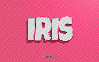 Iris, pink lines background, with names, Iris name, female names, Iris greeting card, line art, with Iris name HD wallpaper