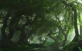Fangorn, Movies, Tree HD wallpaper