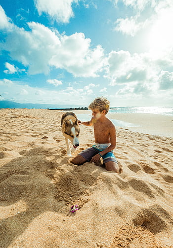 A young boy plays with his dog on a sunny beach in Waipahu, Hawaii. HD phone wallpaper