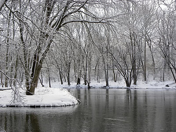 Center Island, winter, trees, water, snow HD wallpaper