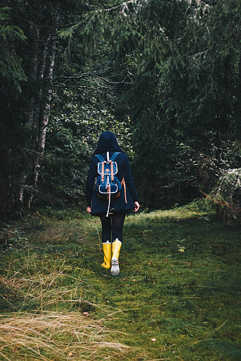 Nature, Autumn, Forest, Girl, Stroll, Backpack, Rucksack HD phone wallpaper
