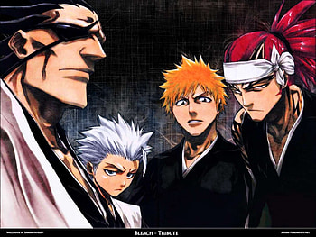 bleach, kinpachi, ichigo, hitsugaya, renji HD wallpaper