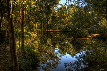 Landscape, Nature, Lake, Forest HD wallpaper