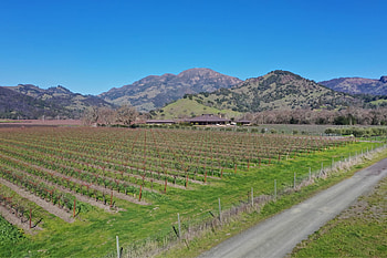 Homes for sale, Calistoga Elementary School, Real estate listings, Napa Valley living HD wallpaper