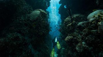 Belize's Blue Hole, GetTransfers, Unearth hidden gems, Natural wonder HD wallpaper
