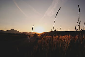 Peaceful sunrise over a countryside road with a car silhouette and wheat field, creating a warm, serene ambiance. HD wallpaper