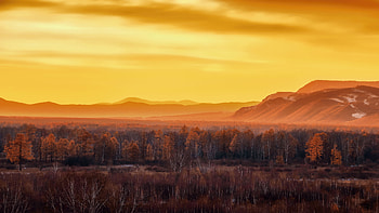 Fall Morning , morning, nature HD wallpaper