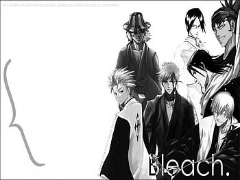 Bleach goodddd man, uryu, ichigo, renji, byakuya, toshiro, gin, urahara HD wallpaper