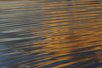 Nature, Water, Waves, Reflection, Ripples, Ripple, Surface HD wallpaper