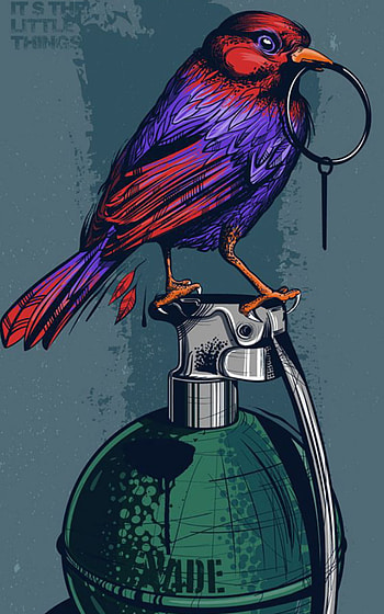 Wal, feather, art HD phone wallpaper