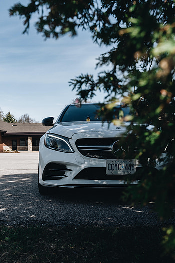 Leaves, Cars, Wood, Tree, Car, Duck, Mercedes HD phone wallpaper