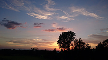 Sunset, Sky, Clouds, Dark, Wood, Tree HD wallpaper