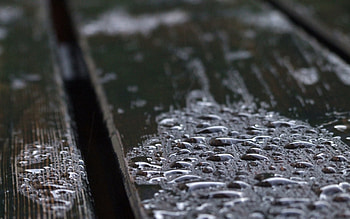 Drops, Macro, Wood, Wooden, Wet, Surface, Humid HD wallpaper