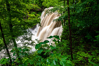 Nature, Trees, Bush, Waterfall, Forest, Greens HD wallpaper
