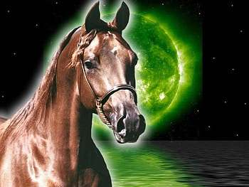 Planet Arabian, horses, planets, arabians, nature, ponies HD wallpaper