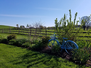 Nature, Grass, Bicycle, Meadow, Pasture HD wallpaper