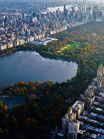Central Park, Top 35 HD phone wallpaper