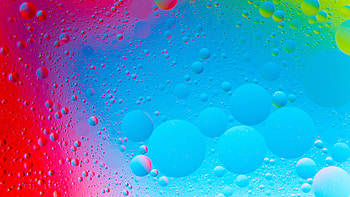 Bubbles, circles, colorful HD wallpaper
