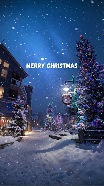 Christmas, snow, tree HD phone wallpaper