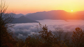 Sunrise in North Carolina, Mountains and forests, Memorial joyce, backgrounds HD wallpaper