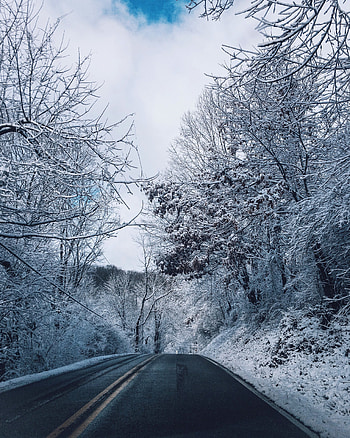 Winter, Nature, Trees, Snow, Road, Markup HD phone wallpaper