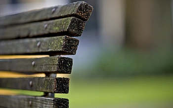 Grass, Miscellanea, Miscellaneous, Wood, Wooden, Bench HD wallpaper