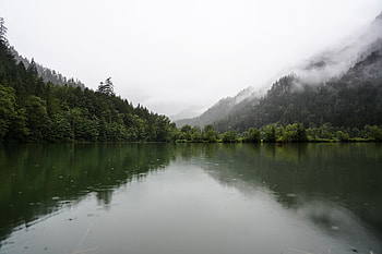Nature, Lake, Reflection, Forest, Fog, Spruce, Fir HD wallpaper