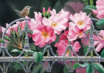 BIRD ON THE FENCE, garden, pink flowers, bird, fence HD wallpaper