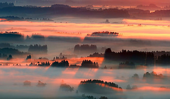 sunset's effect, fun, cool, nature, forest, sunset HD wallpaper