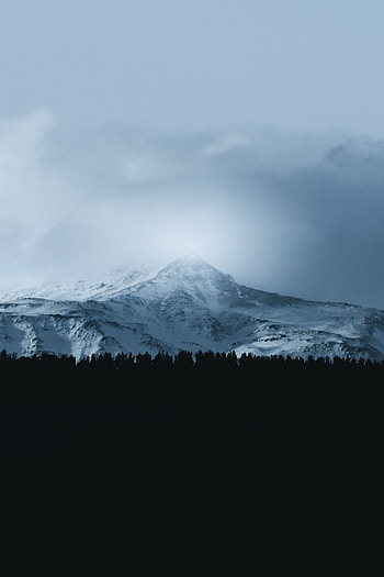 Landscape, Nature, Clouds, Mountain, Vertex, Top, Forest, Fog HD phone wallpaper