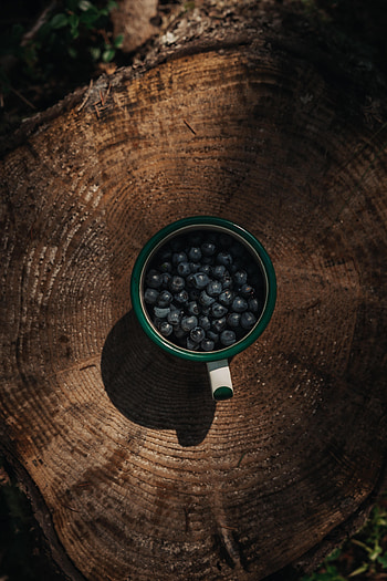 Food, Bilberries, Berries, Cup, Stump, Mug HD phone wallpaper