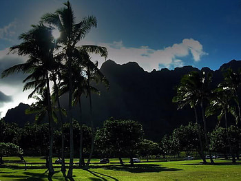 Chinaman's Hat Oahu, Hawaii, trees, grass, sky, mountain HD wallpaper