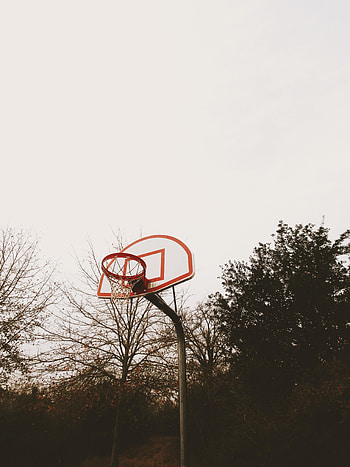 Trees, Miscellanea, Miscellaneous, Playground, Platform, Basketball Backboard, Basketball Shield, Basketball Hoop, Basketball Ring HD phone wallpaper