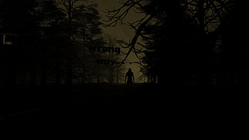 Trees, Night, Dark, Silhouette, Forest HD wallpaper