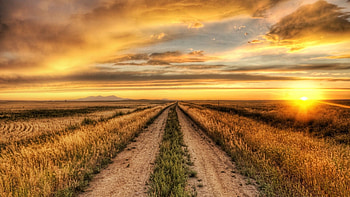 Path, Landscape, Sky HD wallpaper