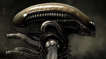 XENOMORPH: HD wallpaper