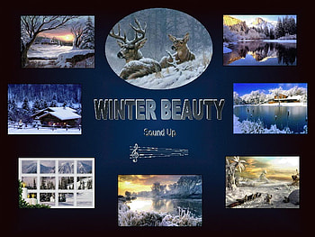 Winter Beauty, winter, nature, collage, beauty HD wallpaper