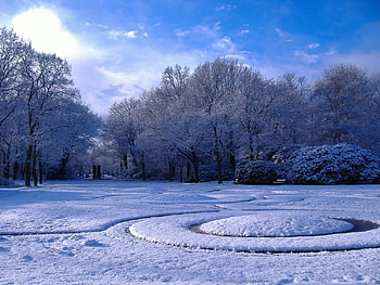 winter in park , winter, park HD wallpaper