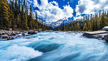 Mountain Stream in the Canadian Rockies, Alberta, rocks, mountains, landscape, trees, clouds, sky, canada HD wallpaper