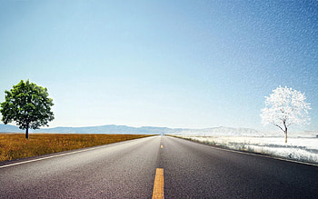 Nature, Trees, Road, Asphalt, Lines, Band, Stripe, Division, Separation, Seasons HD wallpaper