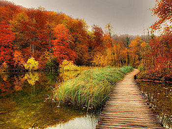 Autumn, season, fall, clouds, trees, nature, water, forest HD wallpaper