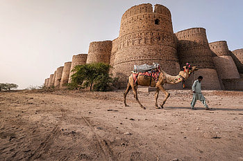 Derawar Fort, Pakistan, medieval, fort, architecture, pakistan, camel HD wallpaper
