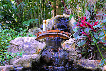 Plants, Nature, Stones, Palms, Interior, Waterfall, Bridge HD wallpaper