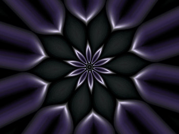 Purple, fractal, flower HD wallpaper